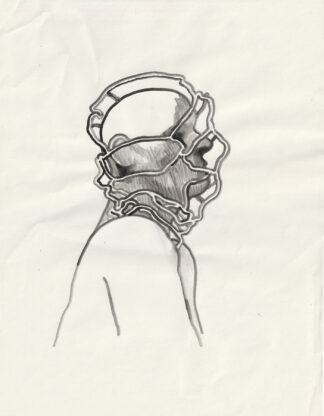 A Head Wrapped in Tubes - Connor Willumsen