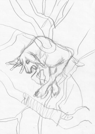 A Lamb Sketch - Connor WIllumsen