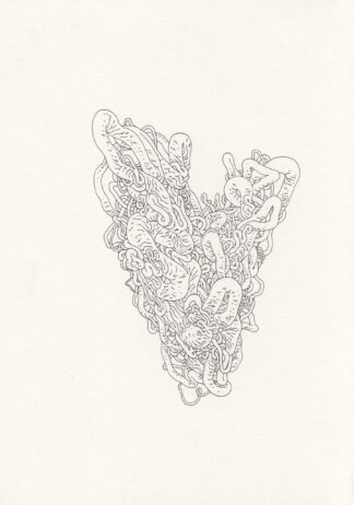 Big V - Connor Willumsen