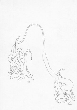 Clay Pots - Connor Willumsen