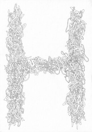 H - Connor Willumsen