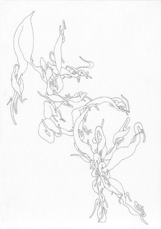 Neck One - Connor Willumsen