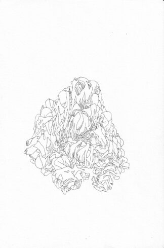 Shred Blanket - Connor Willumsen