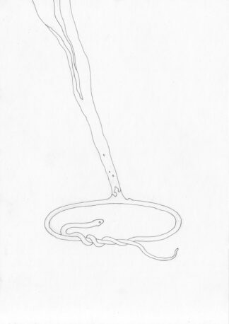 Snake on FIre - Connor Willumsen