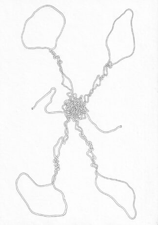 X KNot - Connor Willumsen